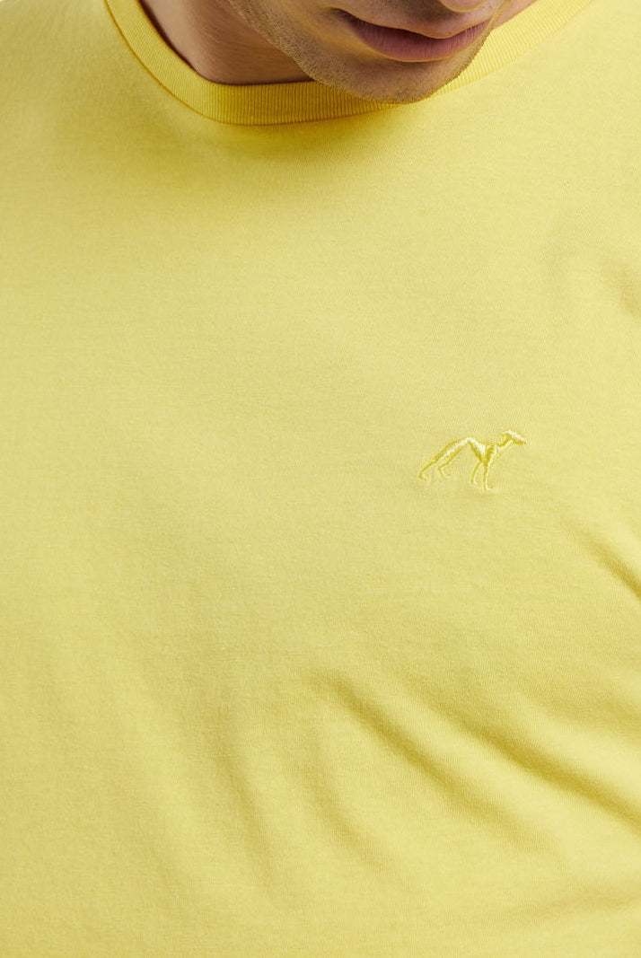 Light Yellow