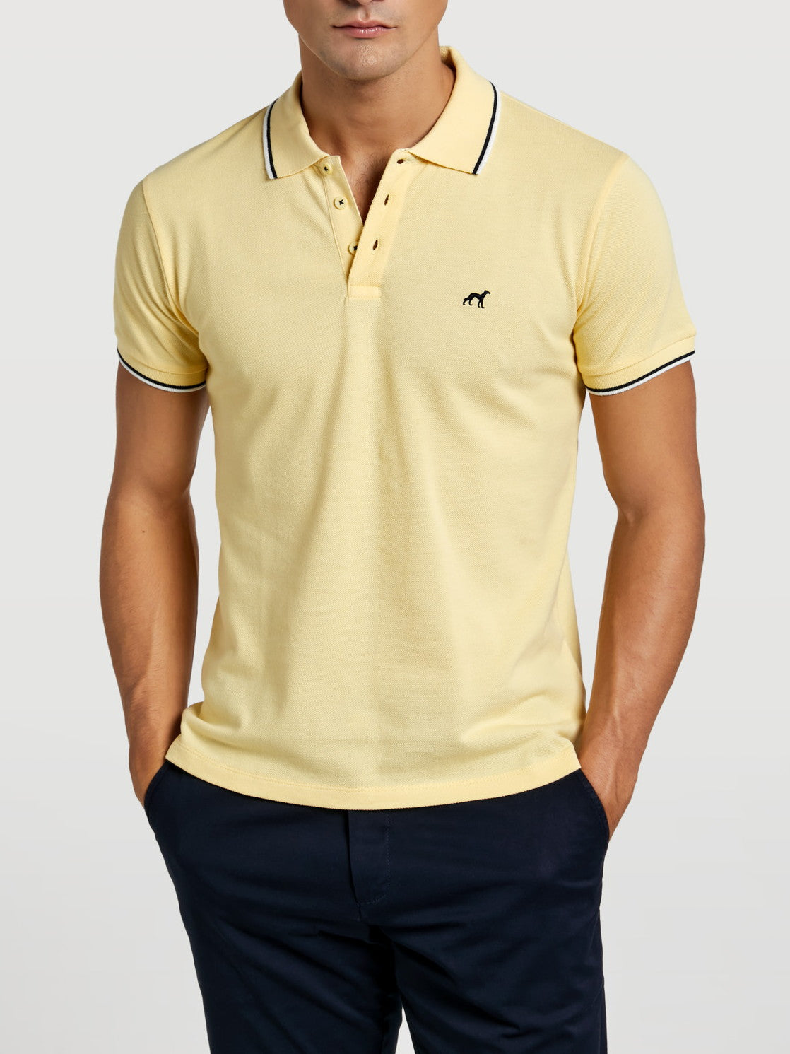 Light Yellow