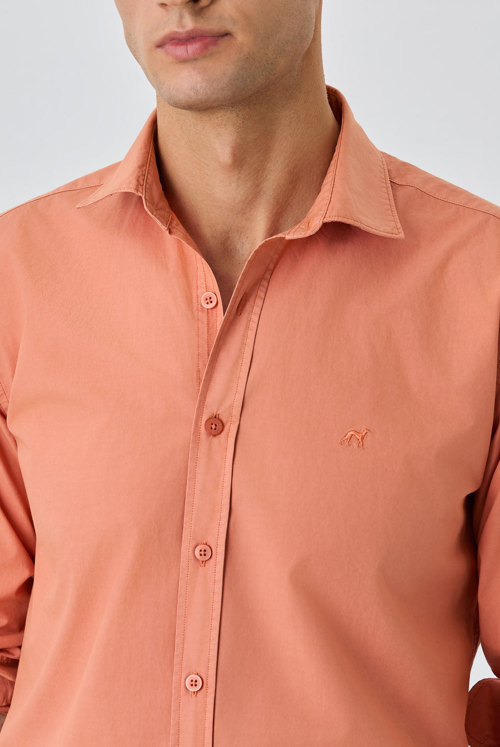 Light Orange