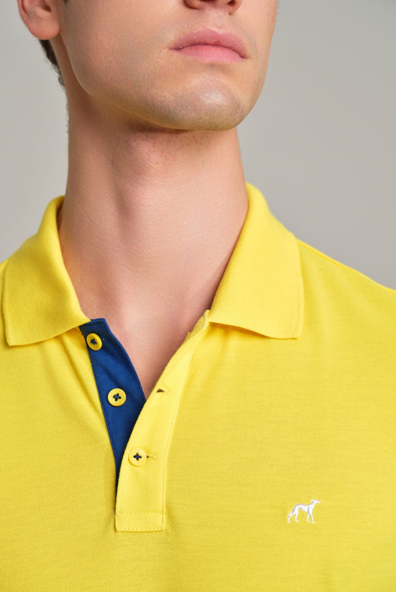 Light Yellow