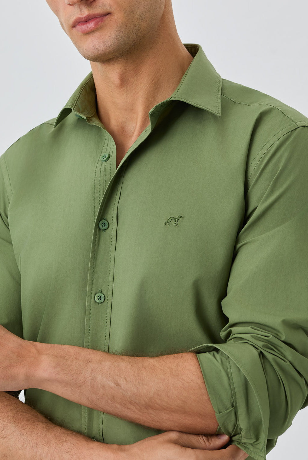 Olive Green