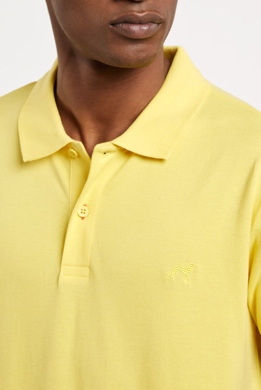 Light Yellow