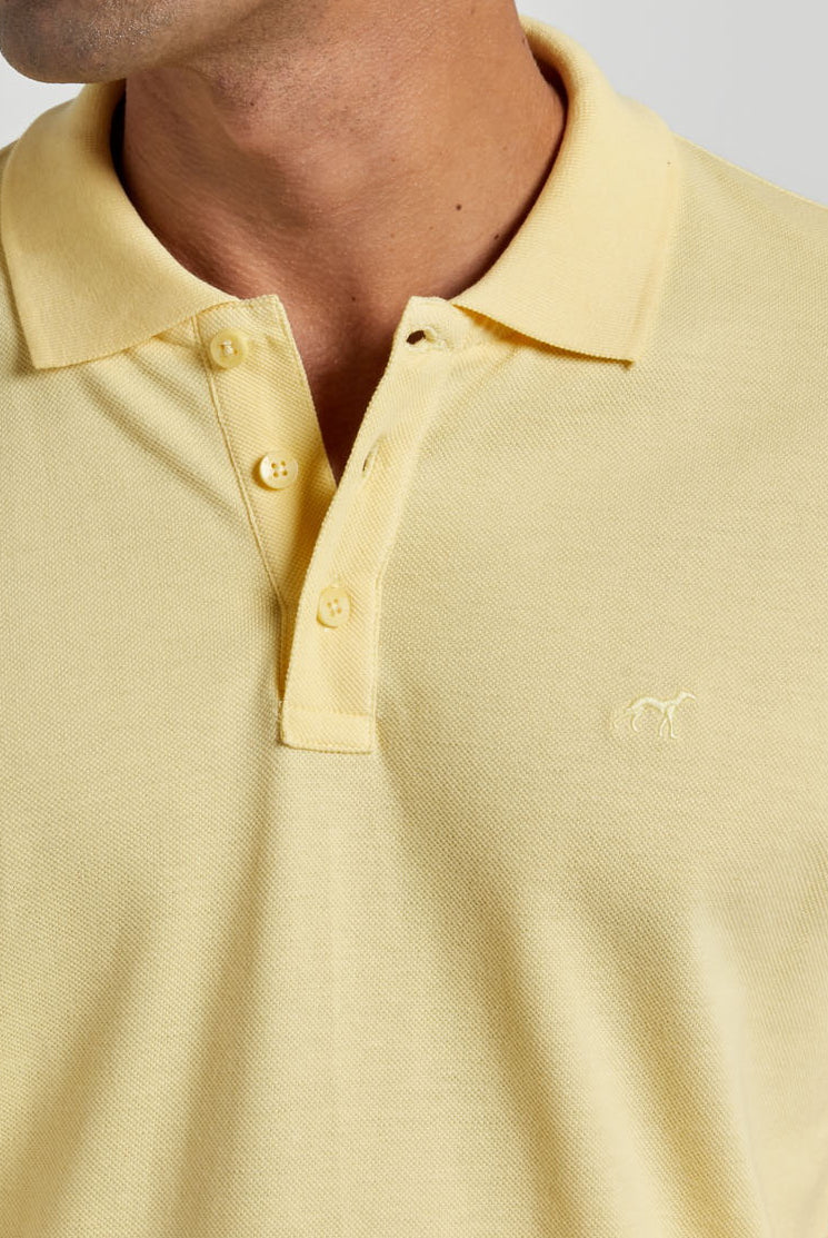 Light Yellow