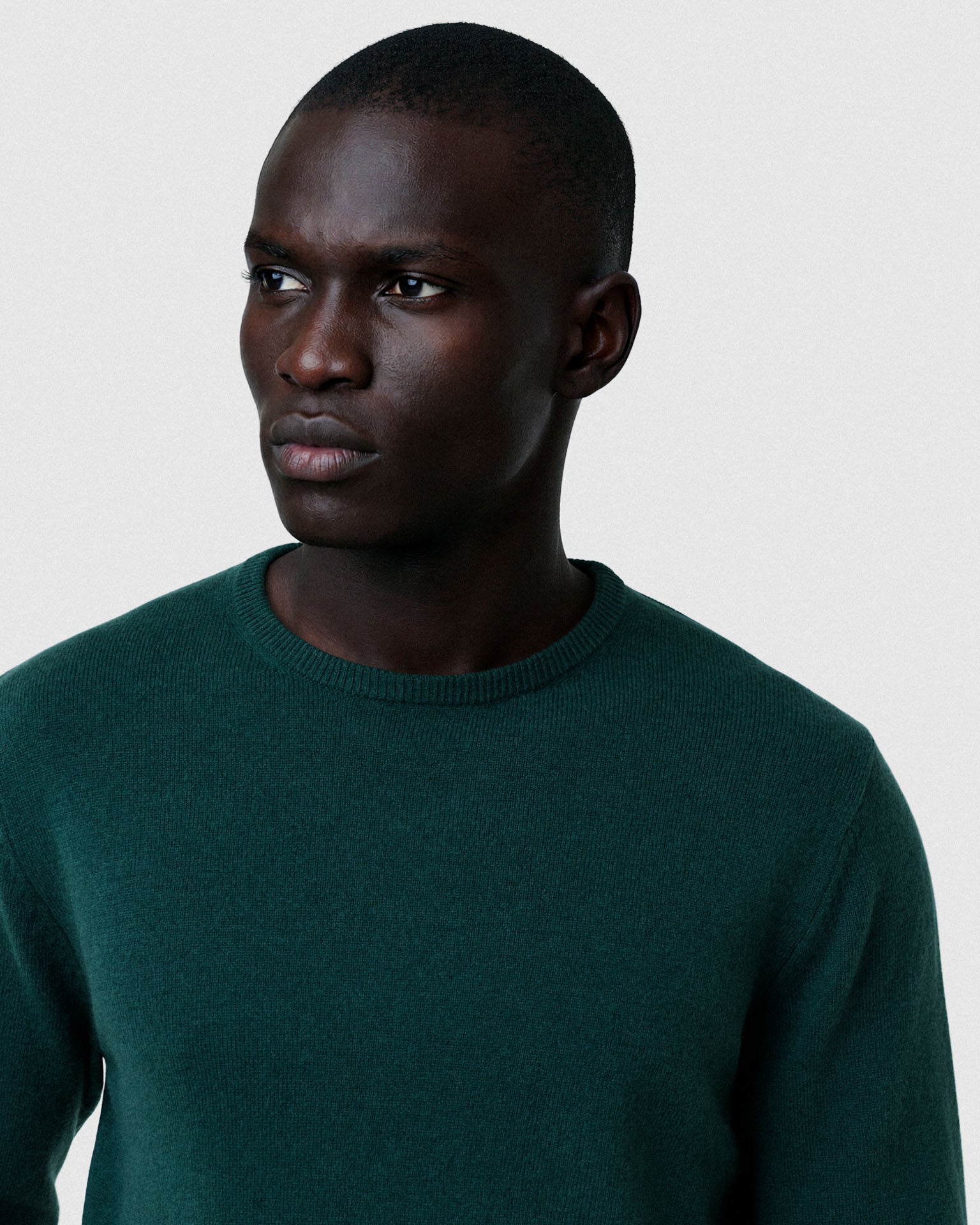 Dark Green (AI)