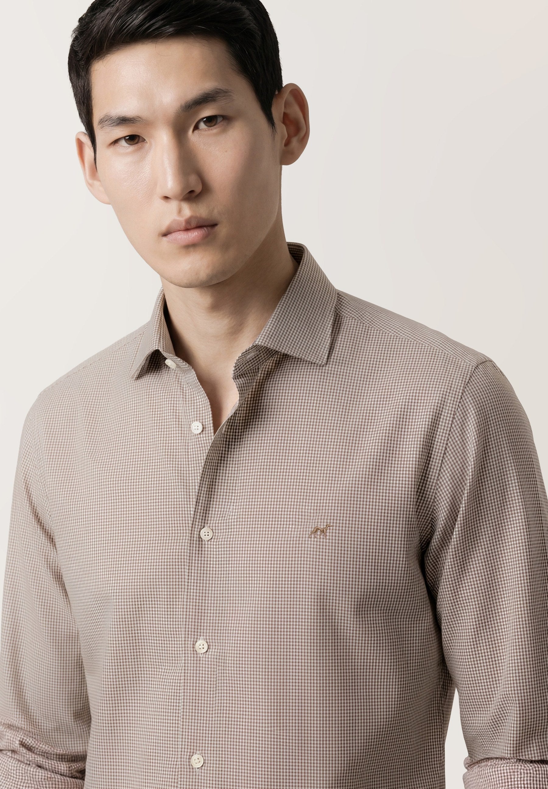 Light Brown (AI)