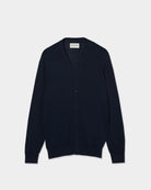 Dark Blue (AI)