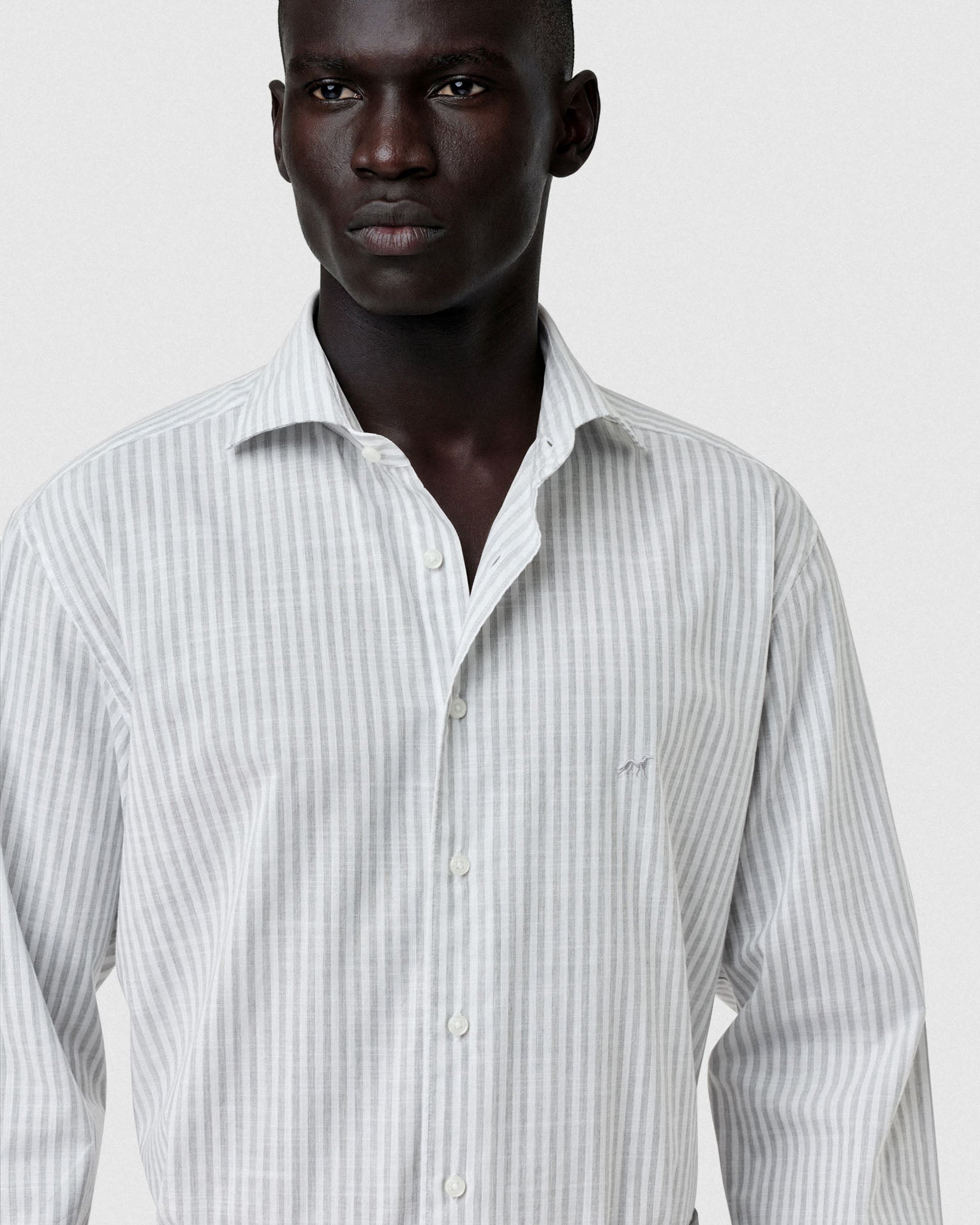Light Grey (AI)