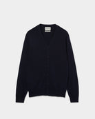 Dark Blue (AI)